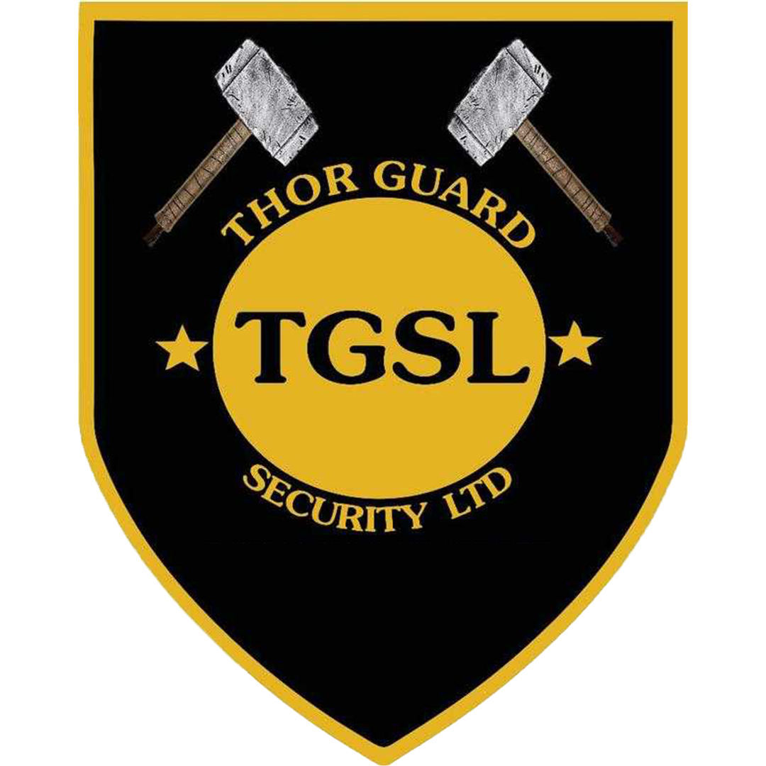 Thor Guard Security Logo